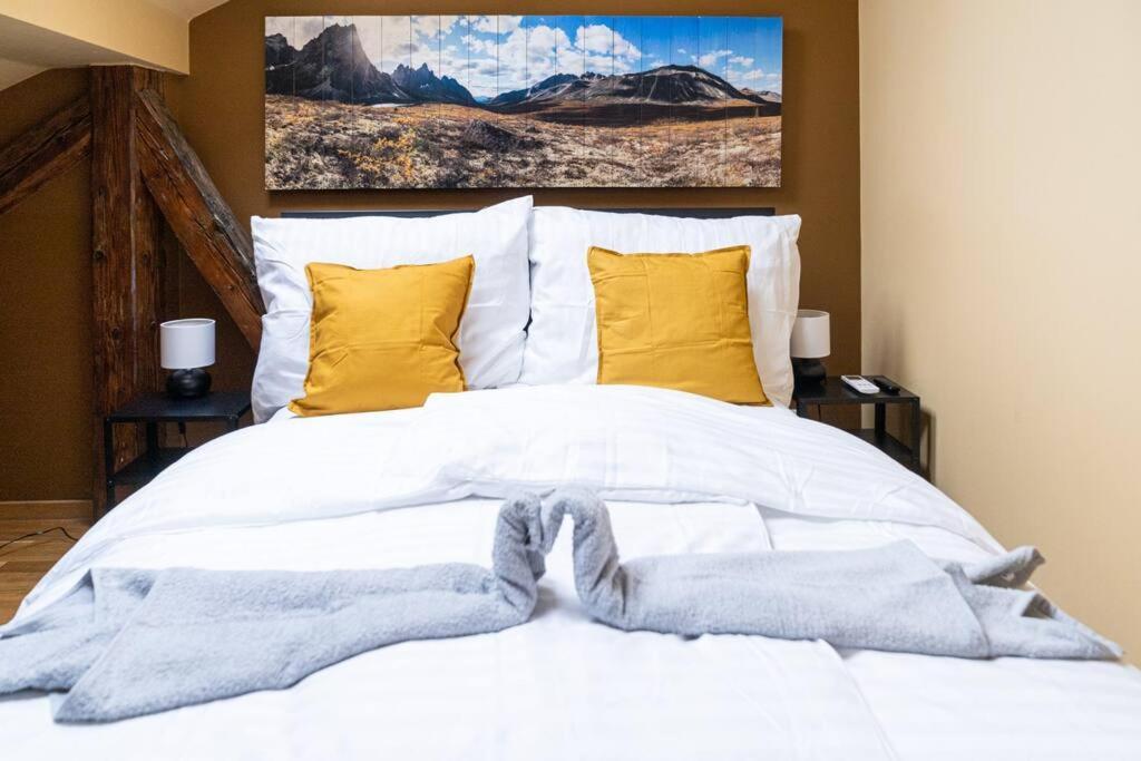 Luxusni S Terasou V Centru Appartement *